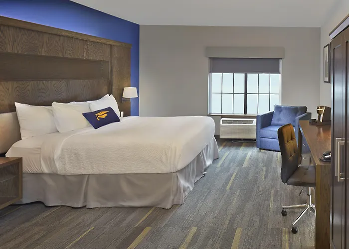 Scholar Morgantown, Tapestry Collection By Hilton