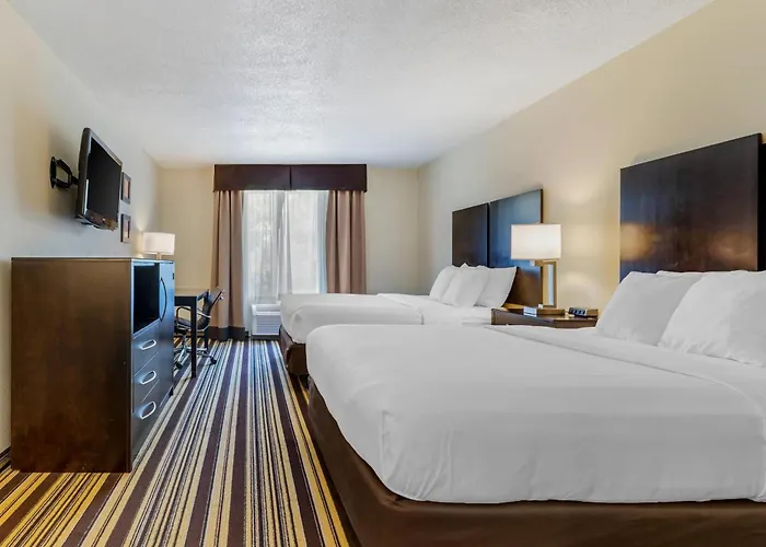 Comfort Inn & Suites Triadelphia - Wheeling
